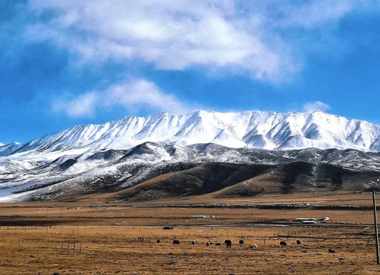 Qilian Mountains