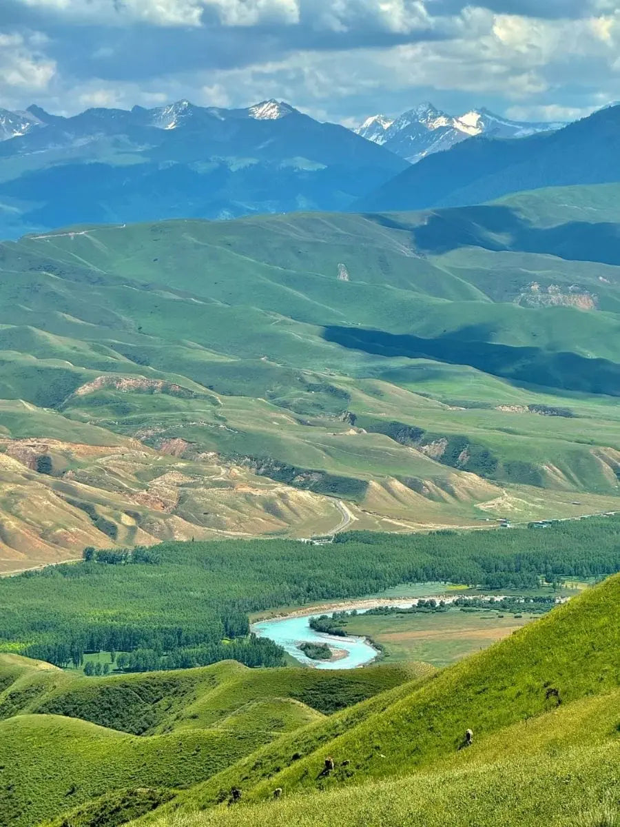 Xinjiang's Ultimate Road Trip: 8-Day Private Tour to Alpine Lakes & Desert Highways