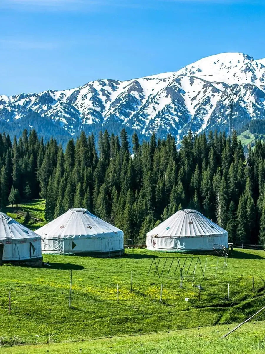 Xinjiang's Ultimate Road Trip: 8-Day Private Tour to Alpine Lakes & Desert Highways
