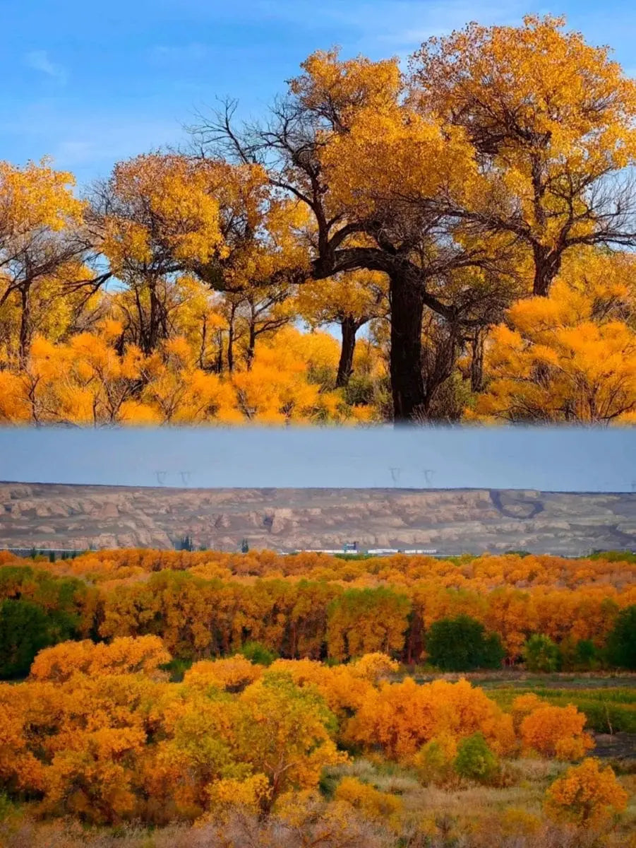 Xinjiang's Ultimate Road Trip: 8-Day Private Tour to Alpine Lakes & Desert Highways