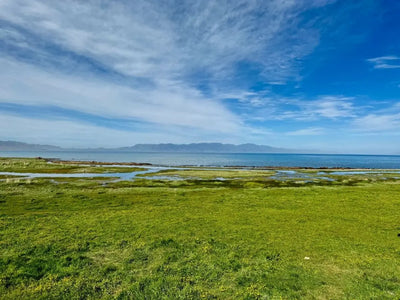 Yining Travel Guide: Ili Valley's Cultural Hub – Gozigou Bridge; Sayram Lake