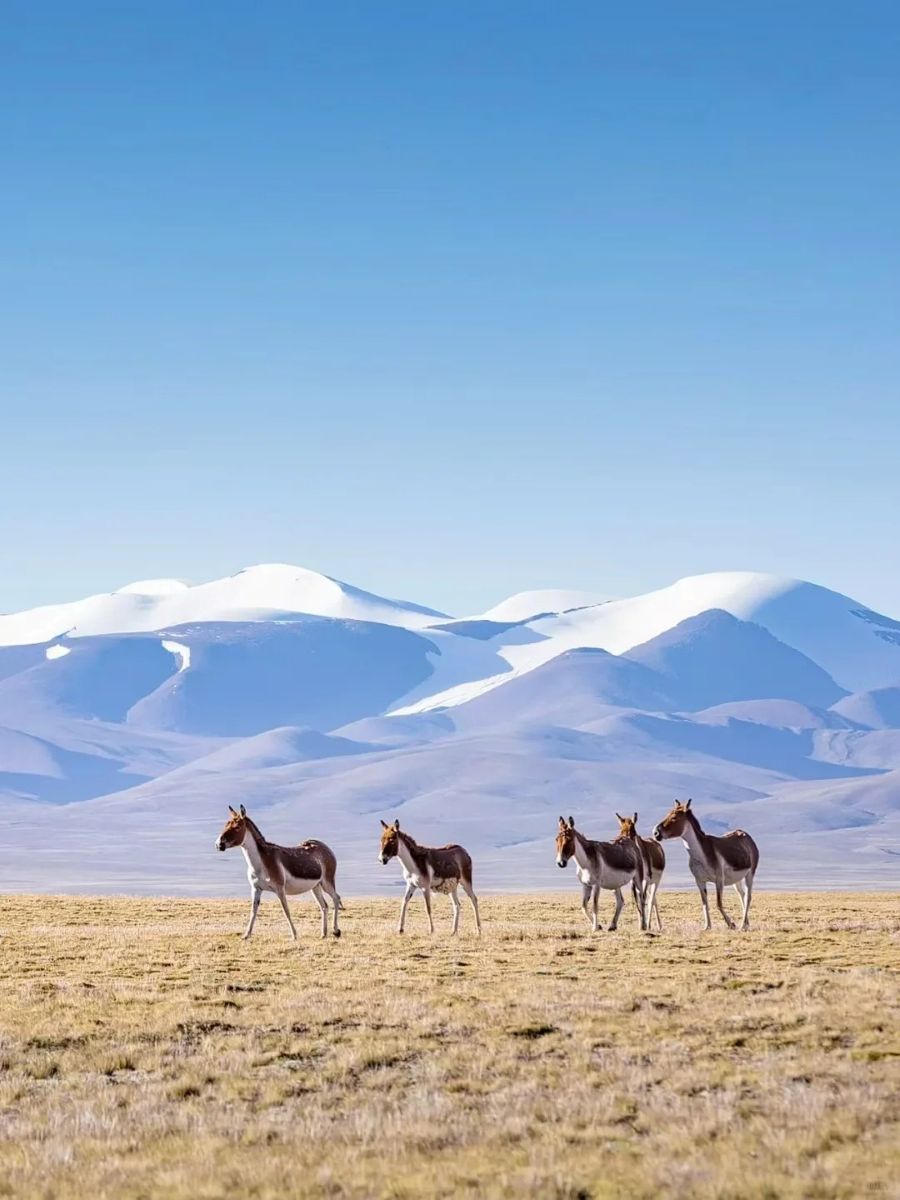 China Adventure Tours | Everest Treks & Outdoor Trips
