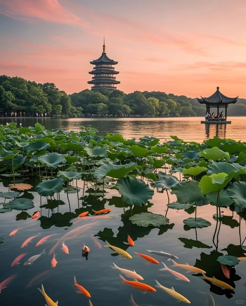 6-Day Eastern China Discovery: Shanghai, Suzhou & Wuzhen All-Inclusive Private Tour