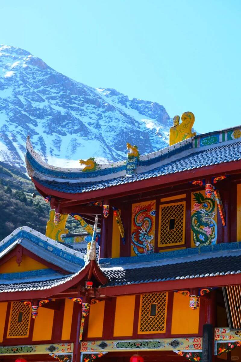 7-Day Sichuan Highlights Tour: Pandas, Giant Buddha & Jiuzhaigou