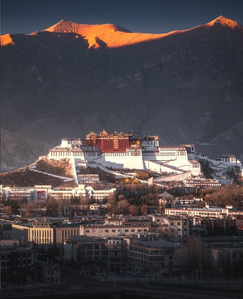 Tibet View