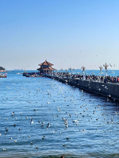 Shandong View